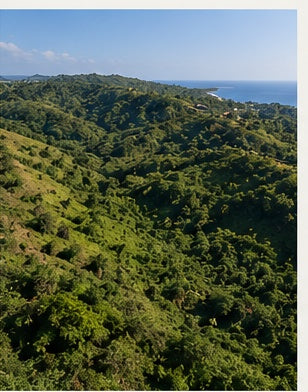 Lote 4 – Terreno 413 m² | Proyecto La Jagua | $22,722 USD