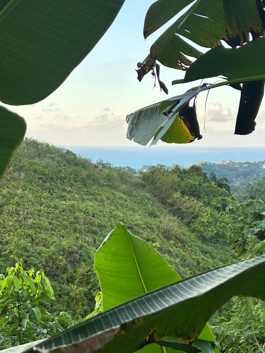 Las Terrenas — Terreno con Vista al Mar Panorámica — 2.200 m² — Relieve & Profundidad