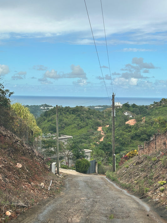 Las Terrenas — Terreno con Vista Panorámica — 10.000 m²