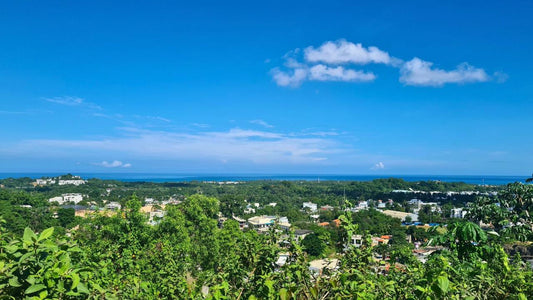 Terreno Vista Mar Premium en Las Terrenas – 1,255.57 m² con Plataforma Lista para Construir